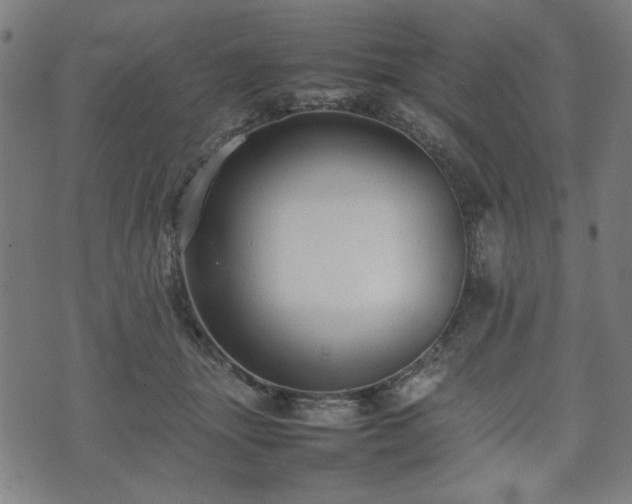 X0000074930463200609081330