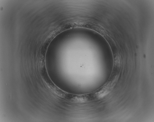 X0000074930464200609081330