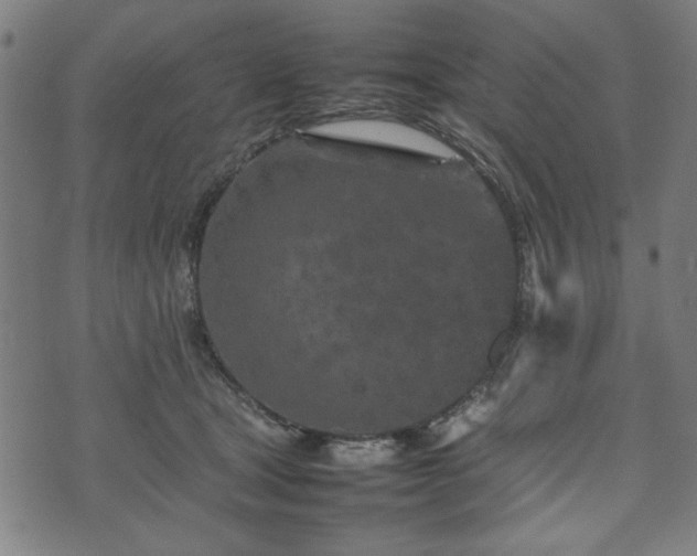 X0000074930465200609081330