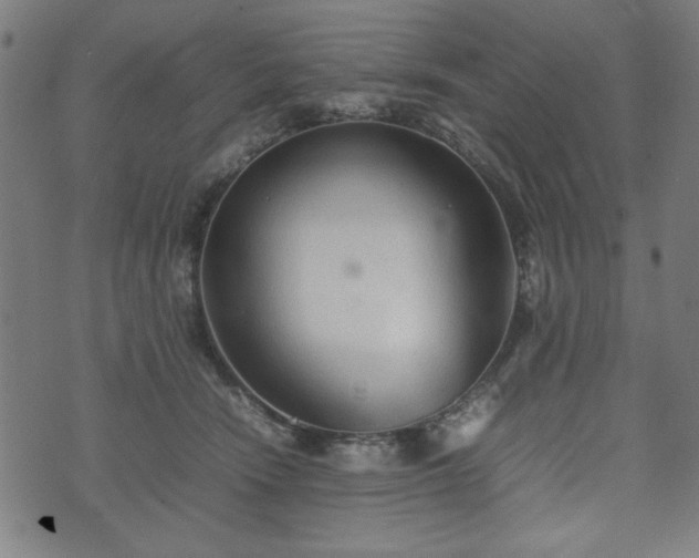 X0000074930466200609081330