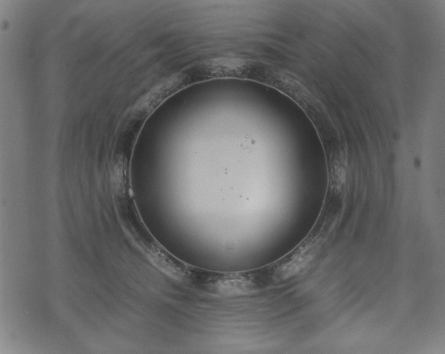 X0000074930468200609081330