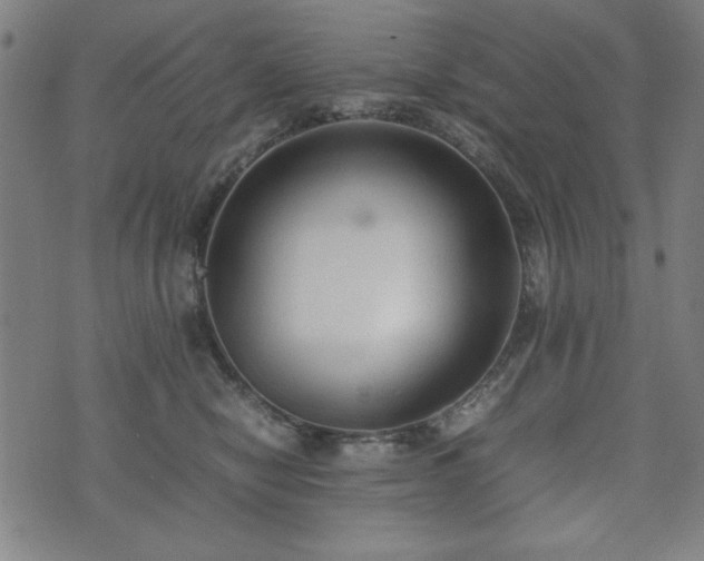 X0000074930470200609081330