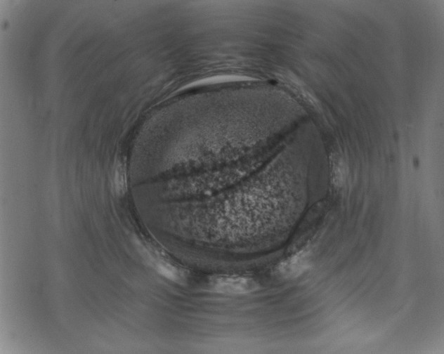 X0000074930471200609081330