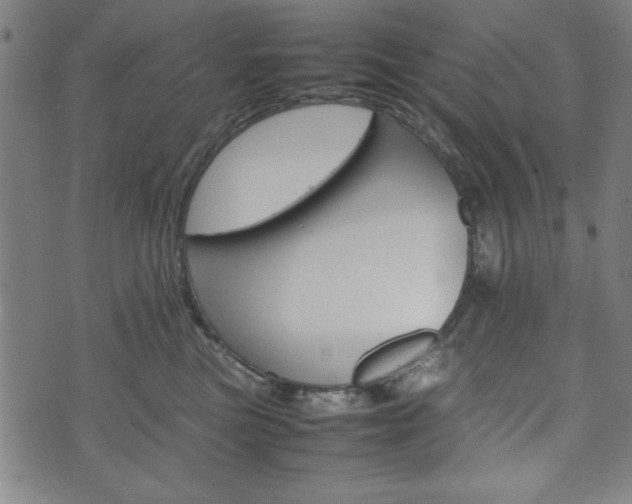 X0000074930473200609081330