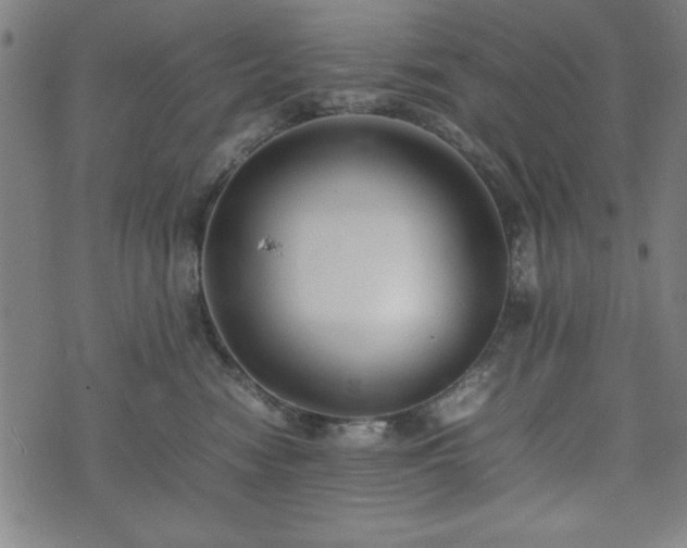 X0000074930474200609081330