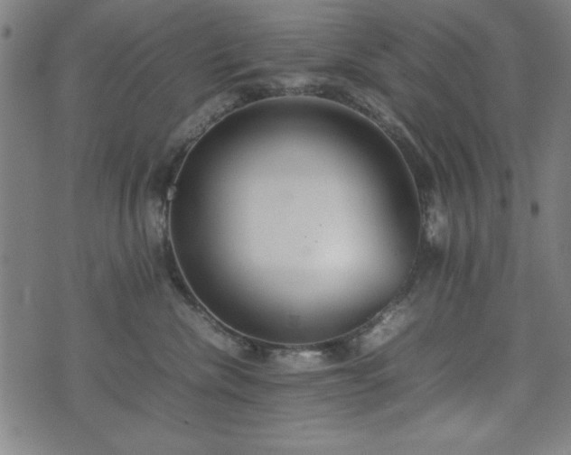 X0000074930476200609081330