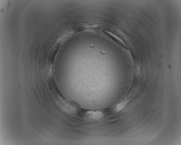 X0000074930477200609081330