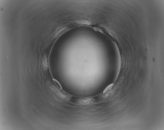 X0000074930479200609081330