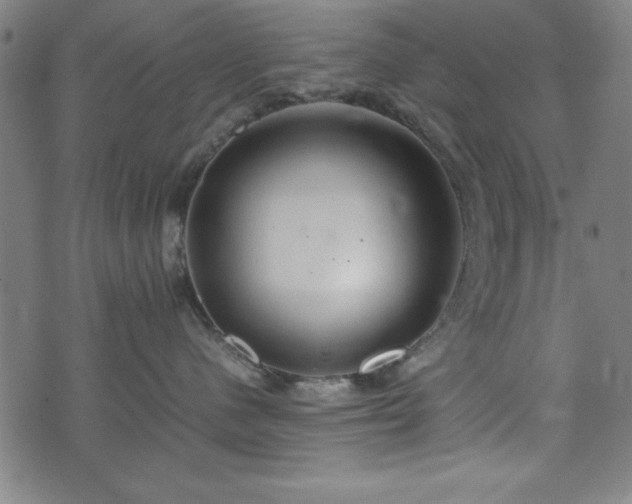 X0000074930480200609081330