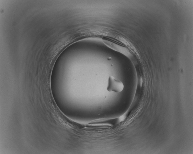 X0000074930481200609081330