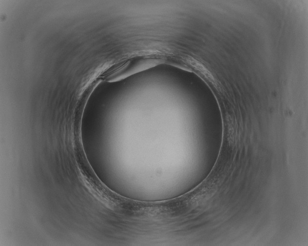 X0000074930482200609081329