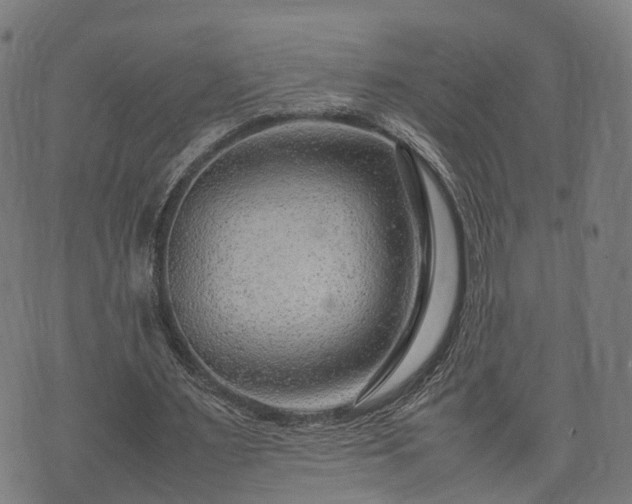 X0000074930483200609081329