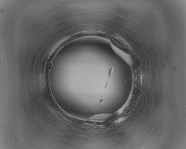 X0000074930484200609081329