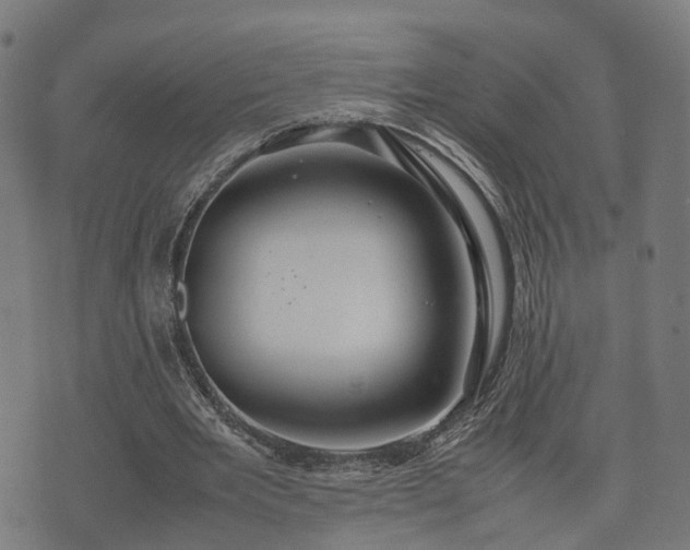 X0000074930485200609081329