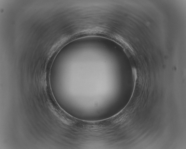 X0000074930486200609081329