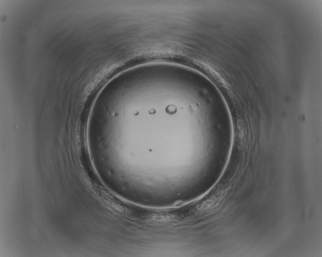 X0000074930487200609081329