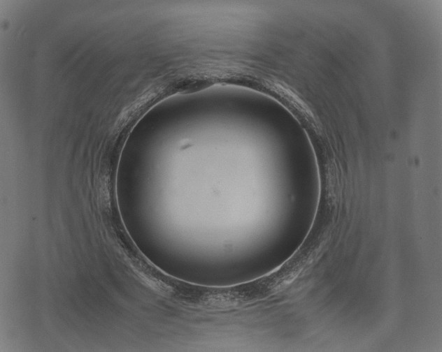 X0000074930489200609081329