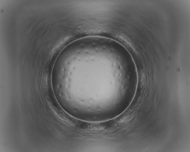 X0000074930491200609081329