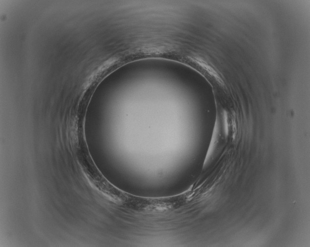 X0000074930492200609081329