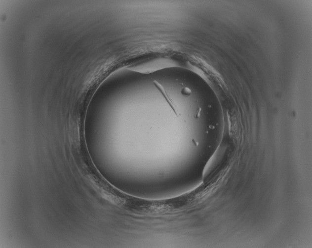 X0000074930493200609081329