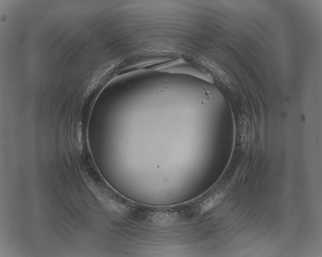 X0000074930494200609081329