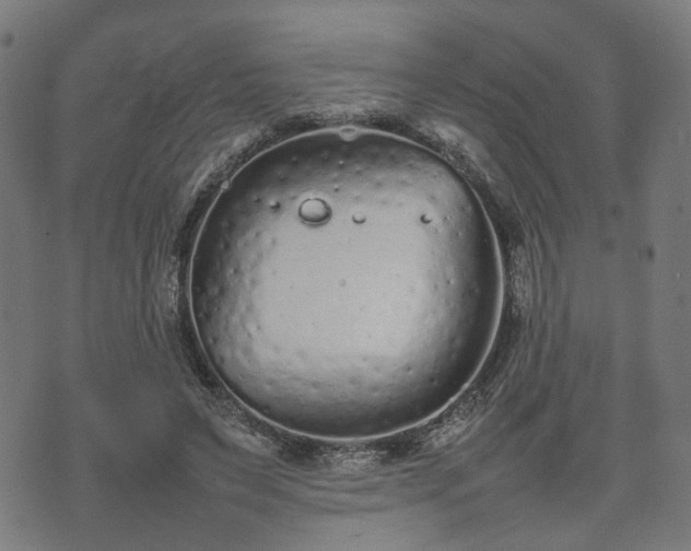 X0000074930495200609081329