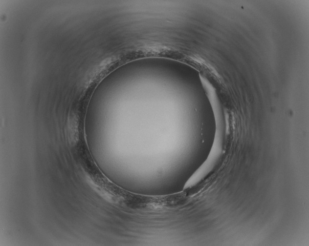 X0000074930496200609081329