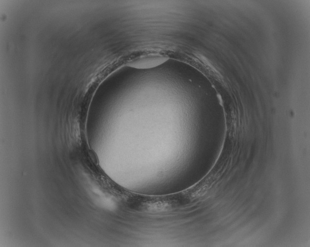 X0000074930500200609081329