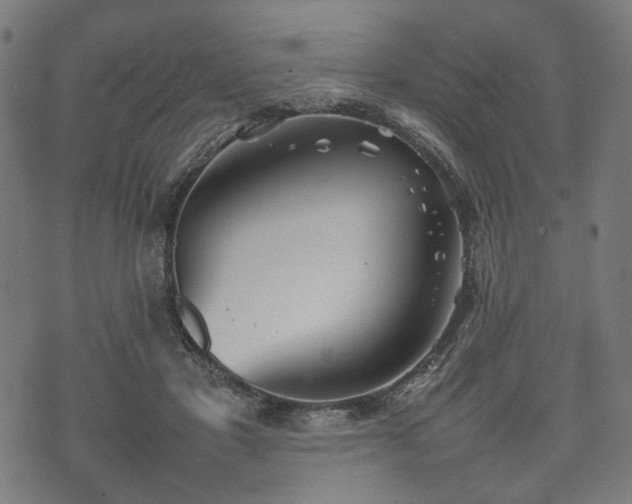 X0000074930501200609081329