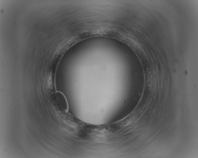 X0000074930502200609081329