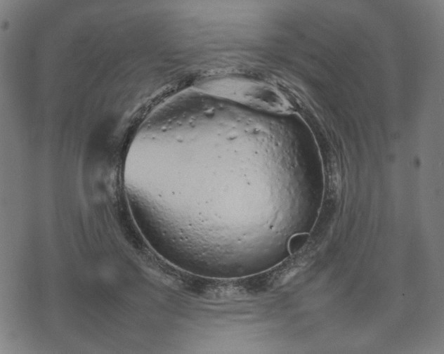 X0000074930503200609081329