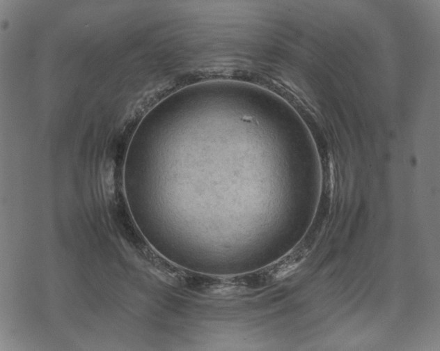 X0000074930504200609081329