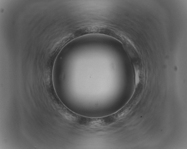 X0000074930505200609081329