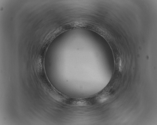 X0000074930506200609081329