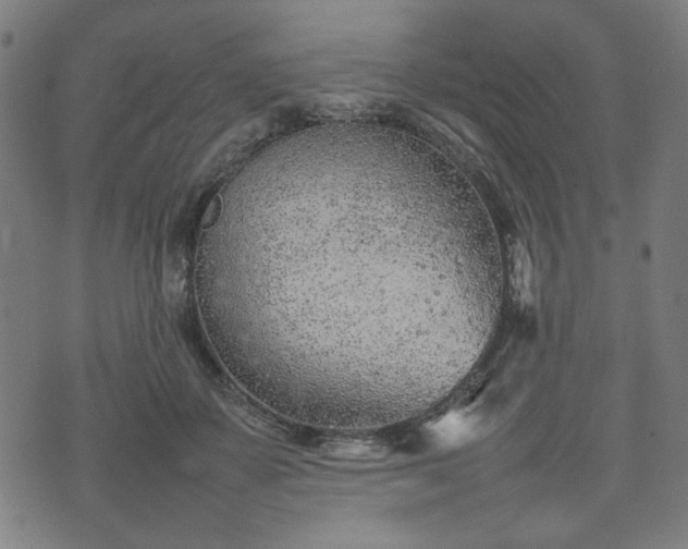 X0000074930507200609081329