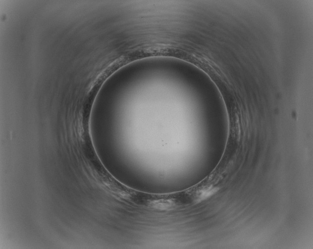 X0000074930508200609081329