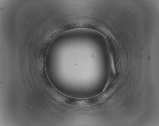 X0000074930509200609081329