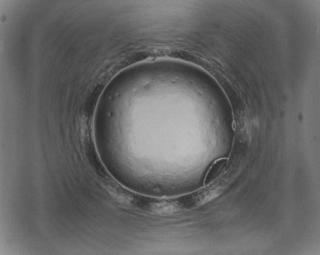 X0000074930511200609081329