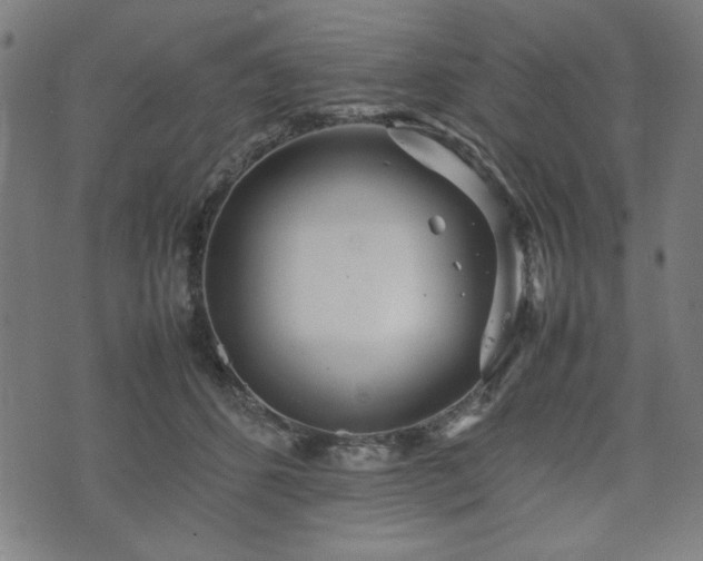 X0000074930512200609081329