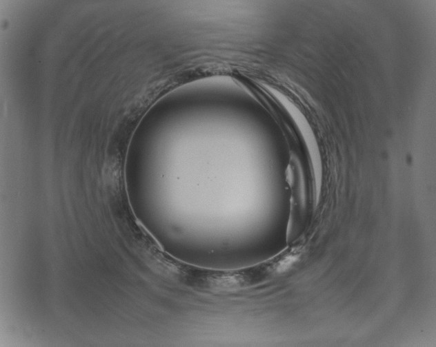 X0000074930513200609081329