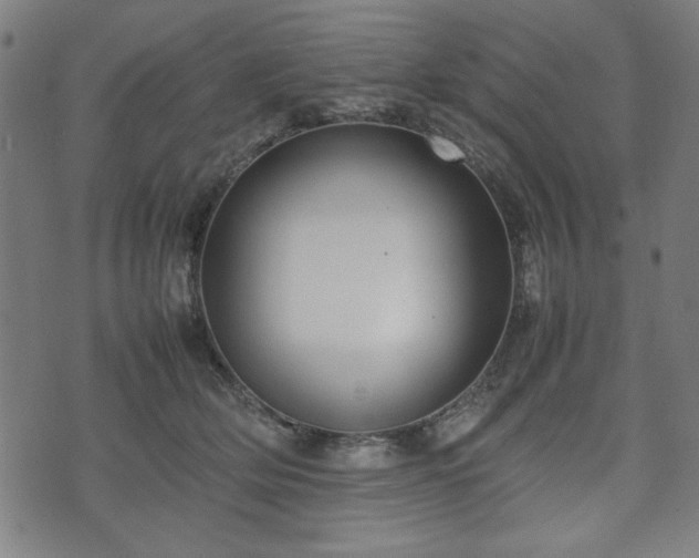 X0000074930514200609081329