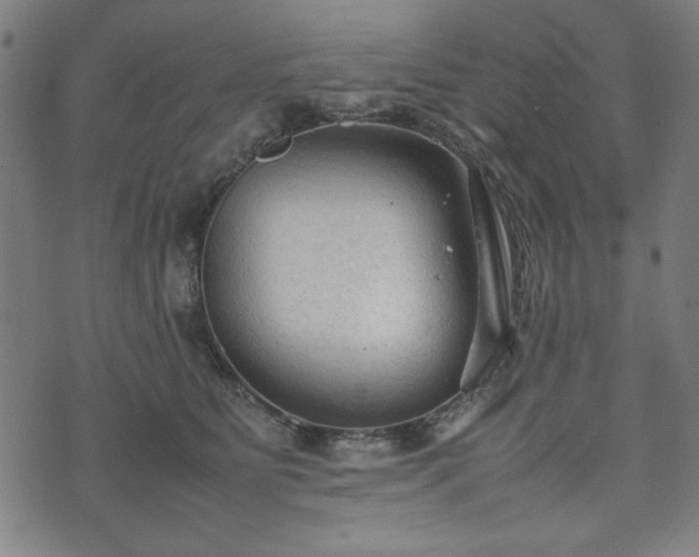 X0000074930515200609081329