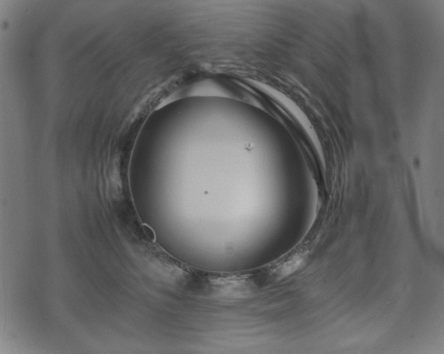 X0000074930516200609081329