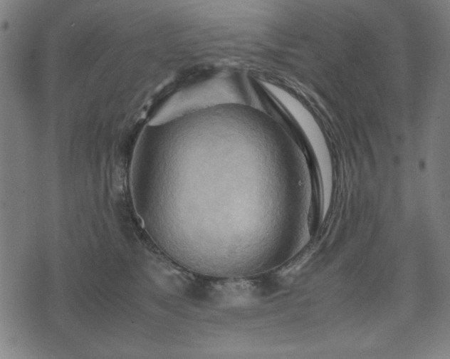 X0000074930517200609081329