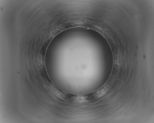 X0000074930518200609081329