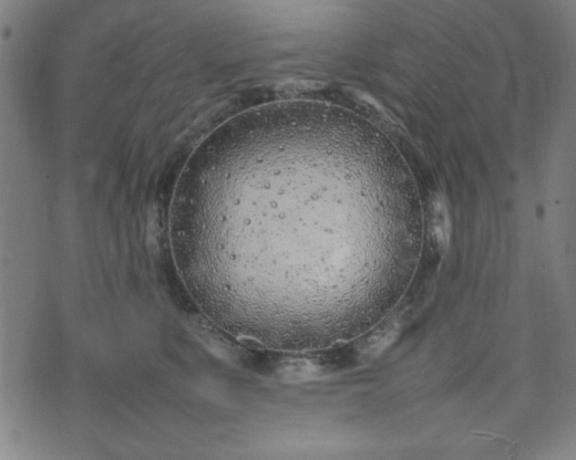 X0000074930519200609081329