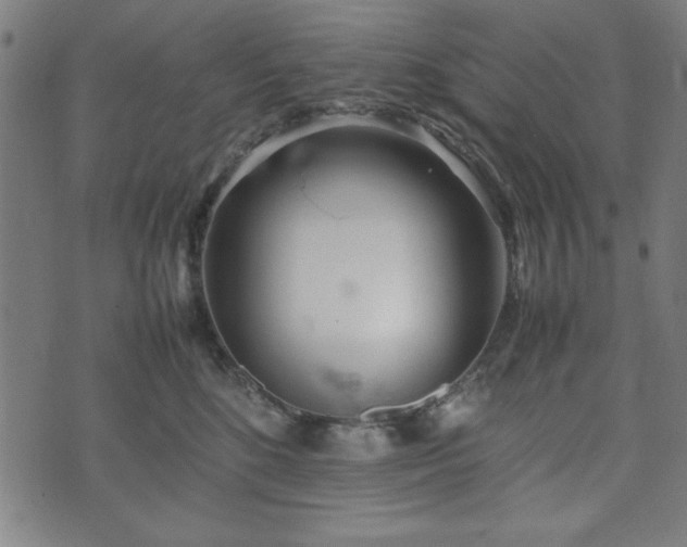 X0000074930520200609081329