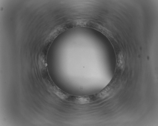 X0000074930522200609081329