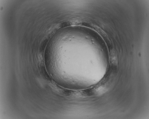 X0000074930523200609081329