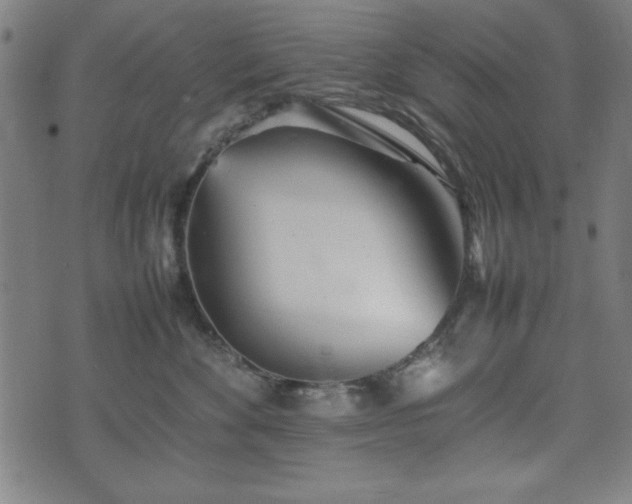 X0000074930524200609081329